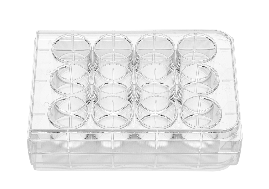 12-well clear flat bottom ultra-low attachment plates, individually wrapped, sterile, skin packing
