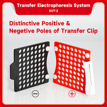 Load image into Gallery viewer, SERVICEBIO Electrophoresis System (Transfer)-Gel to Blot Transfer System (for Western Blot)
