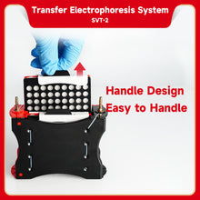 Load image into Gallery viewer, SERVICEBIO Electrophoresis System (Transfer)-Gel to Blot Transfer System (for Western Blot)
