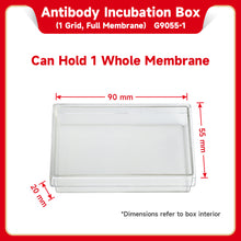 Load image into Gallery viewer, SERVICEBIO Western Blot Antibody Incubation Boxes
