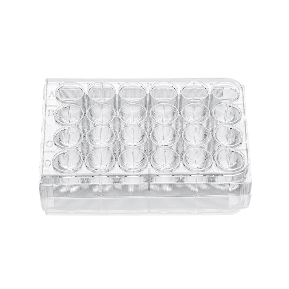 24-well clear flat bottom ultra-low attachment plates, individually wrapped, sterile, skin packing