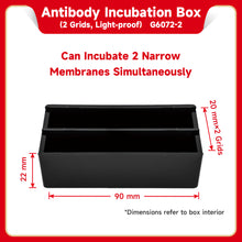 Load image into Gallery viewer, SERVICEBIO Western Blot Antibody Incubation Boxes
