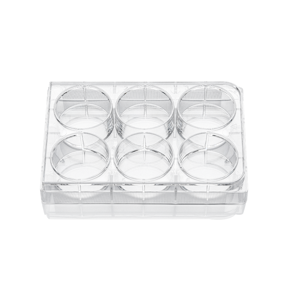 6-well clear flat bottom ultra-low attachment plates, individually wrapped, sterile, skin packing