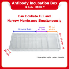 Load image into Gallery viewer, SERVICEBIO Western Blot Antibody Incubation Boxes
