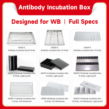 Load image into Gallery viewer, SERVICEBIO Western Blot Antibody Incubation Boxes
