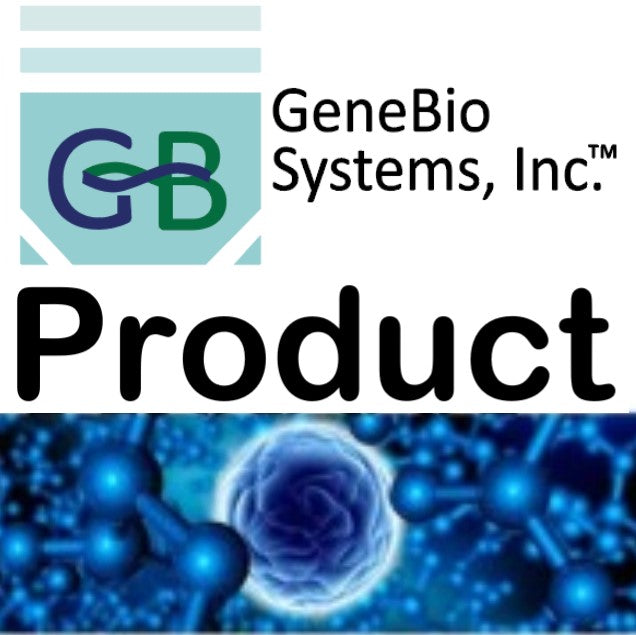 GB-Script™-TS 1st Strand cDNA Synthesis Kit (+ gDNA wiper)