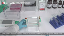 Load and play video in Gallery viewer, SERVICEBIO Electrophoresis System (Transfer)-Gel to Blot Transfer System (for Western Blot)
