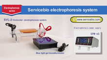 Load and play video in Gallery viewer, SERVICEBIO Integrated Horizontal Electrophoresis System （Electrophoresis Tank + blue light transilluminator)
