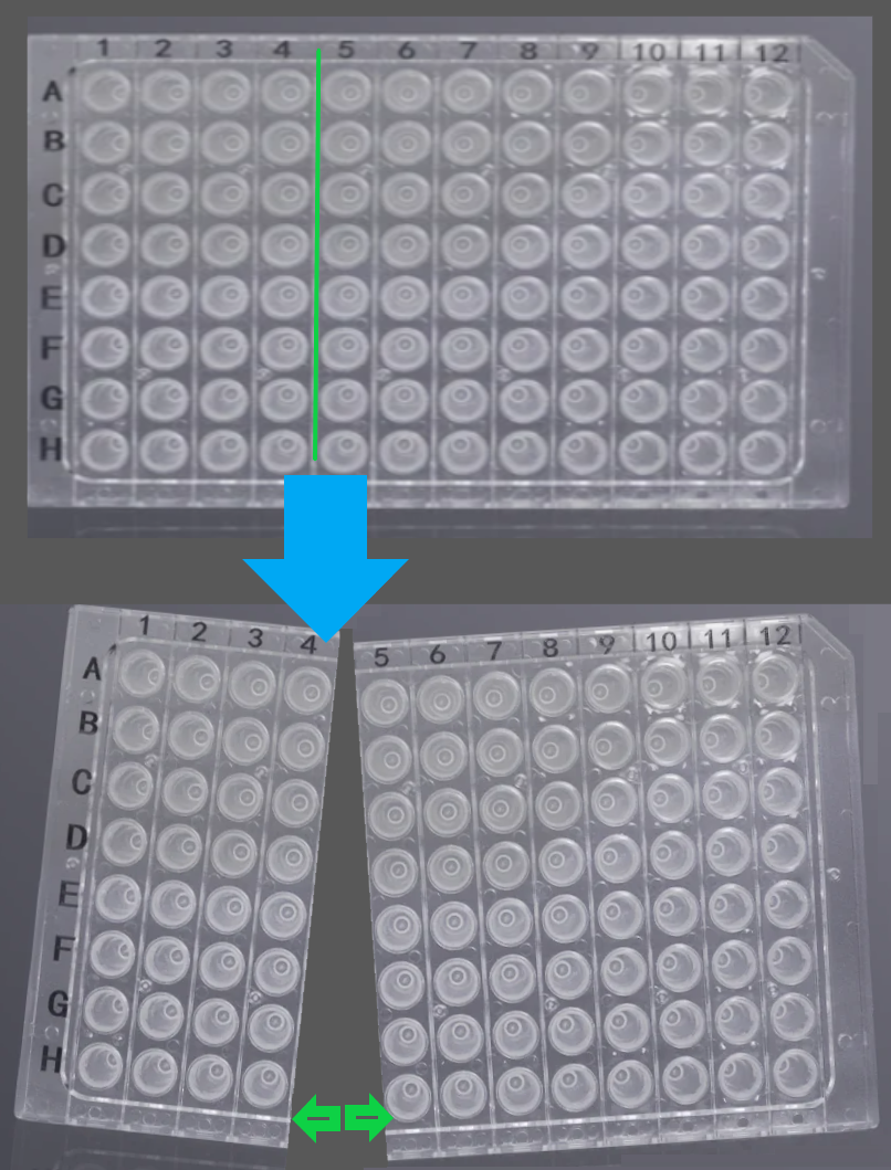 0.1mL 96 well Segmented PCR plate, Semi-skirted, clear