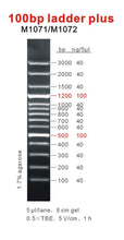 Load image into Gallery viewer, GB-Ruler™ 100 bp DNA Ladder Plus
