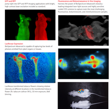 Load image into Gallery viewer, UVP BioSpectrum Advanced System
