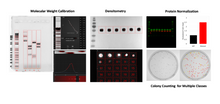 Load image into Gallery viewer, UVP BioSpectrum Advanced System
